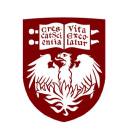 University of Chicago